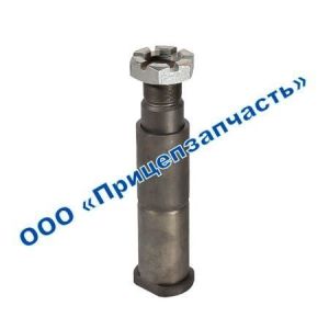 Палец 9693-2919250 в сборе Палец 9693-2919250 в сборе