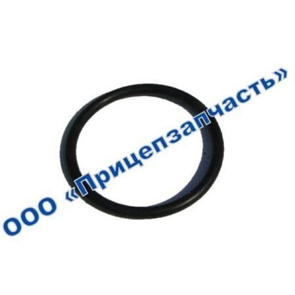 Уплотнительное кольцо тормозного вала